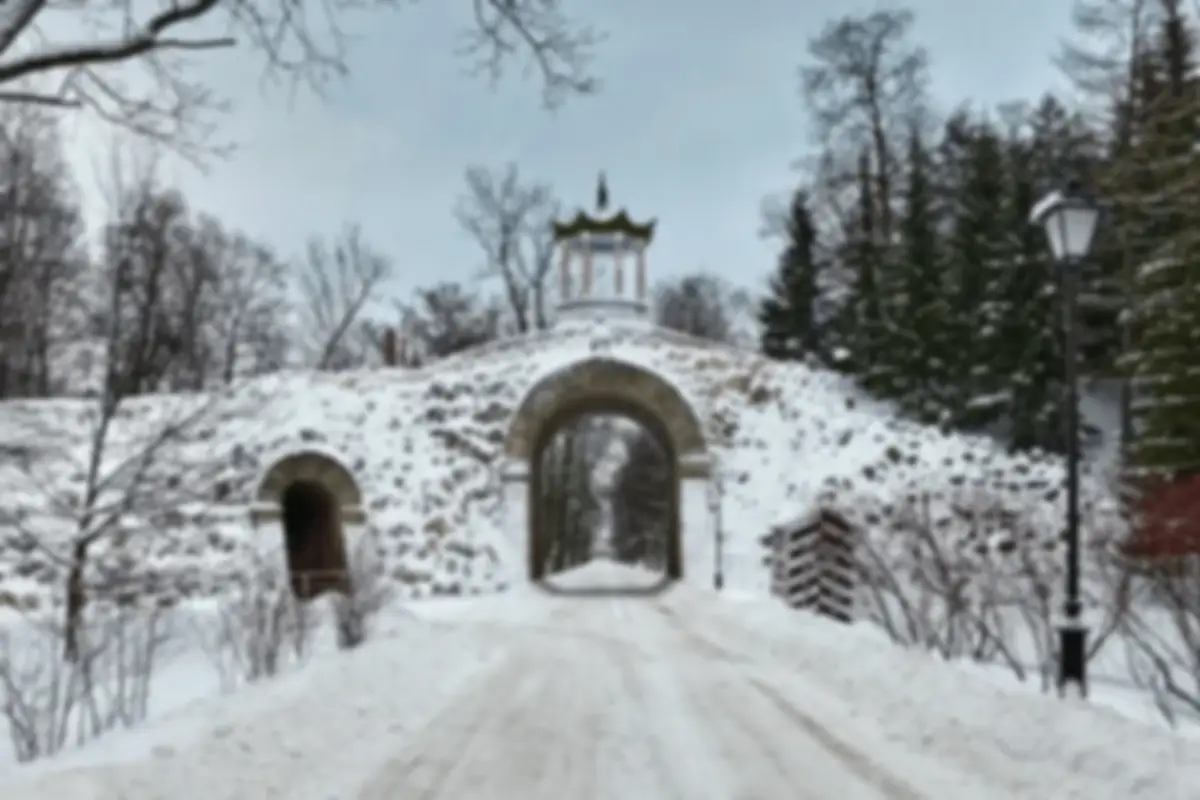 A soft, noisy photo cleaned up by Unblur & Restore - before